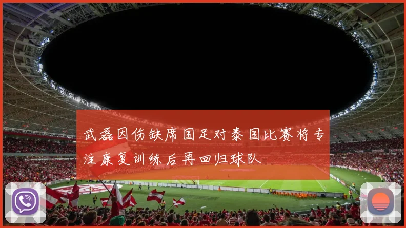 武磊因伤缺席国足对泰国比赛将专注康复训练后再回归球队